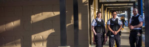 paladin-security-welcome