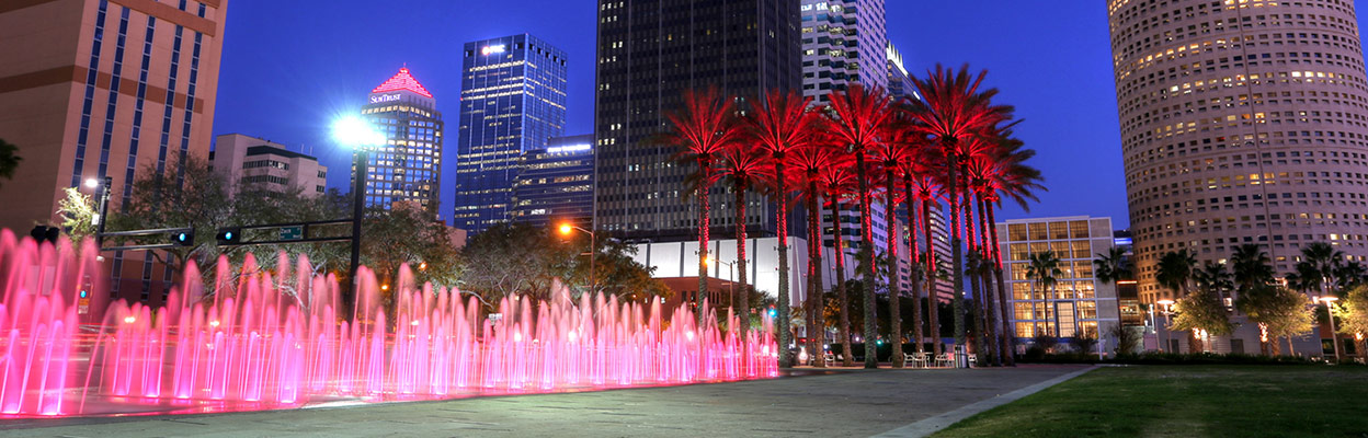 https://www.paladinrisksolutions.com/wp-content/uploads/2017/02/Tampa-Header.jpg