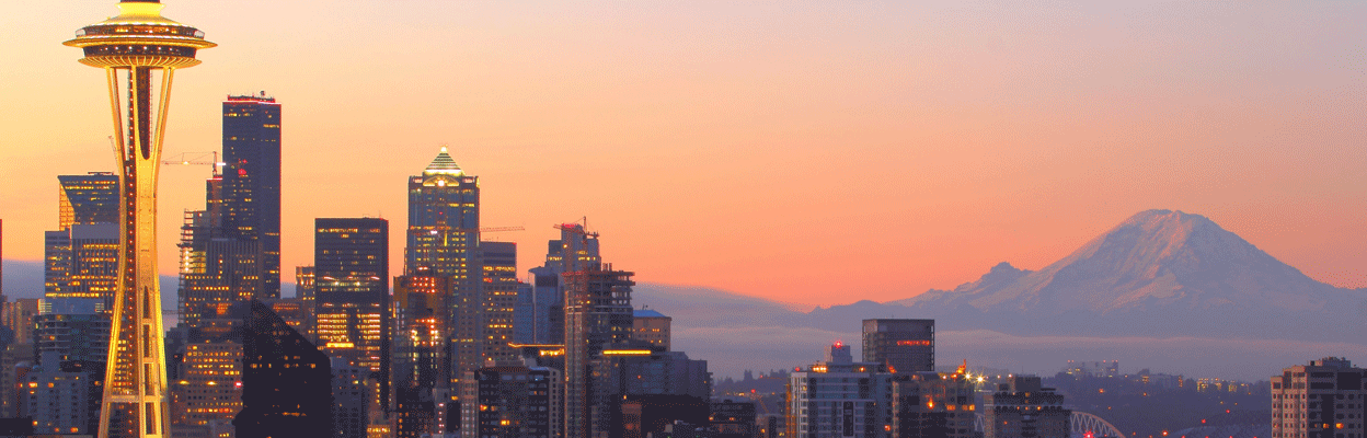 https://www.paladinrisksolutions.com/wp-content/uploads/2019/03/seattle-banner-wis.png