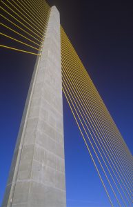 Risk Mitigation Tampa