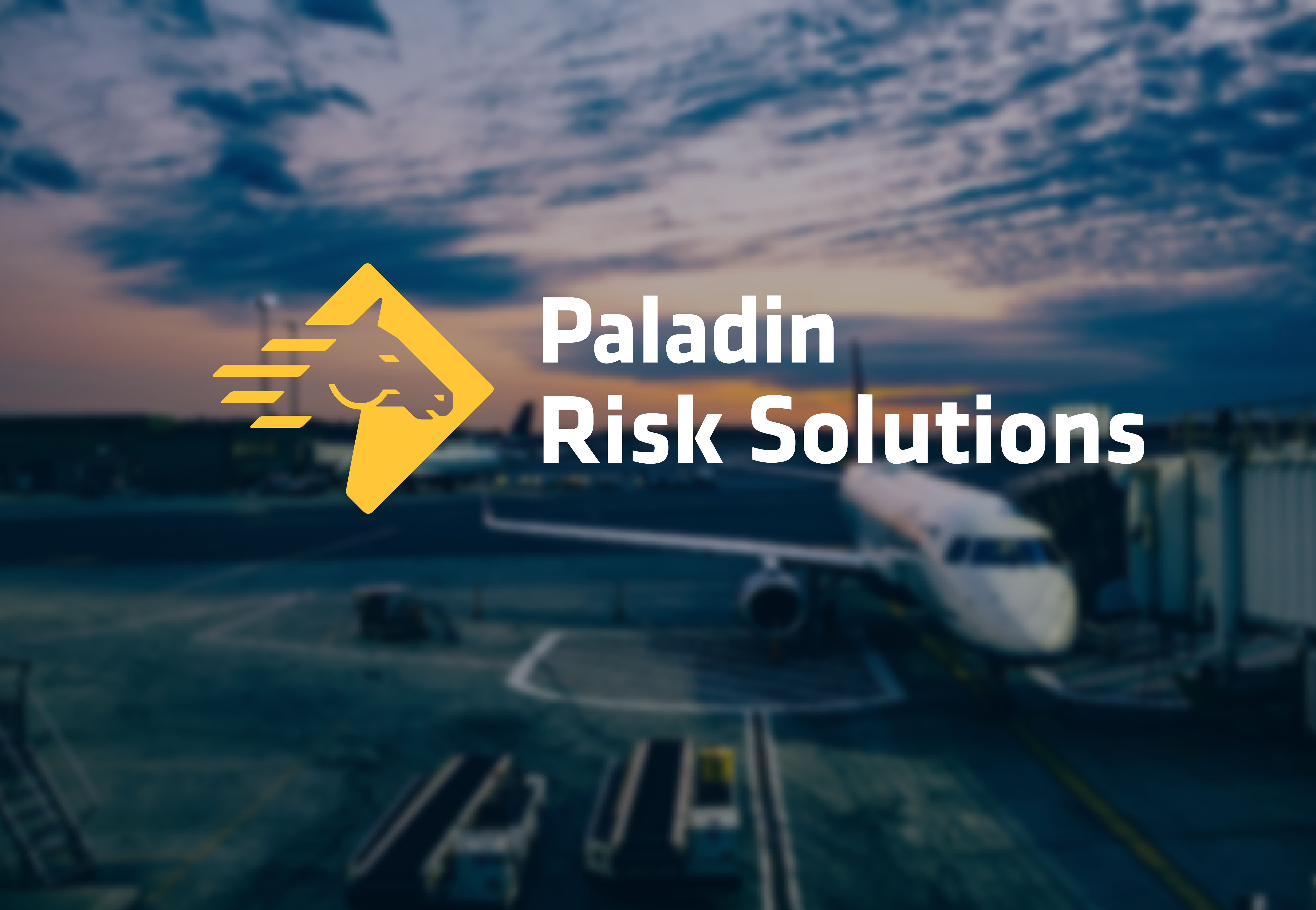 https://www.paladinrisksolutions.com/wp-content/uploads/2019/11/PRSI-01.jpg